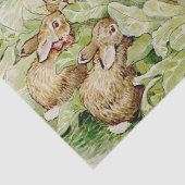 Papier Mousseline Beatrix Potter Tale des lapins Flopsy (Détail)