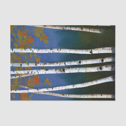 Papier Mousseline Beau bouleau d'automne (Recto)