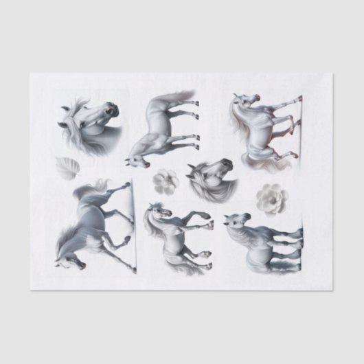 Papier Mousseline Beau Cheval Blanc Coupes Fussy Art (Recto)