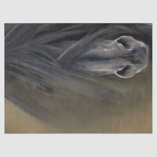 Papier Mousseline Beau Cheval Noir (Recto)