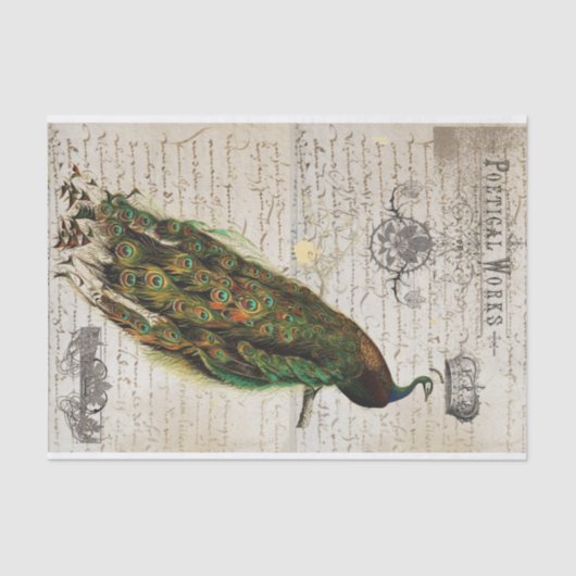 Papier Mousseline Beau collage d'éphémères de paon (Recto)