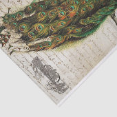 Papier Mousseline Beau collage d'éphémères de paon (Détail)