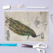 Papier Mousseline Beau collage d'éphémères de paon (Artisanat)