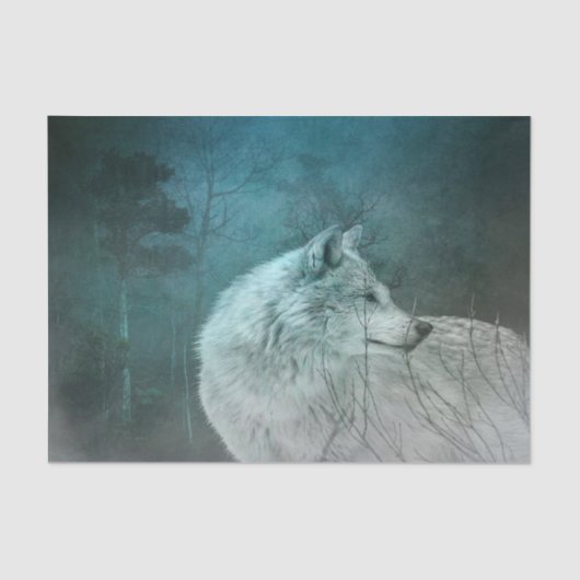 Papier Mousseline Beau loup gris dans une forêt foncée (Recto)