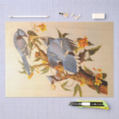 Papier Mousseline Beau mobilier découpage Blue Jays (Artisanat)