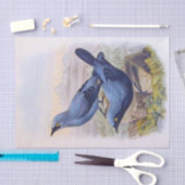 Papier Mousseline Beau Oiseaux Exotiques Bleus Illustration Vintage (Artisanat)