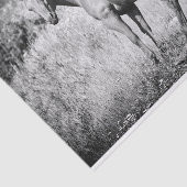 Papier Mousseline Beau papier de fond noir et blanc (Détail)