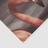 Papier Mousseline Beau papier de tissu Flamant rose rose (Détail)