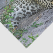 Papier Mousseline beau papier de tissu léopard (Détail)