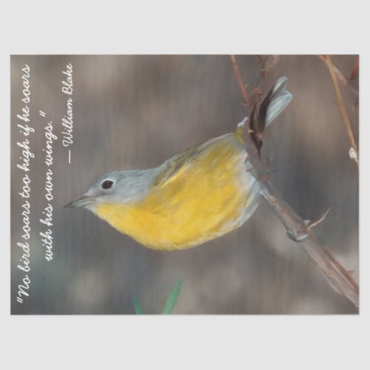 Papier Mousseline Beau papier Tissu Oiseau (Recto)