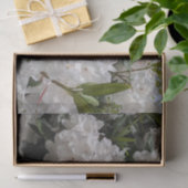 Papier Mousseline Beau Rhododendron blanc fleurit Floral (Cadeau)