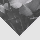 Papier Mousseline Beau Rose et Rosebud Floral noir et blanc (Détail)