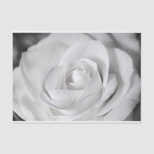 Papier Mousseline Beau rose noir et blanc (Recto)