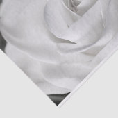 Papier Mousseline Beau rose noir et blanc (Détail)