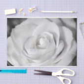 Papier Mousseline Beau rose noir et blanc (Artisanat)