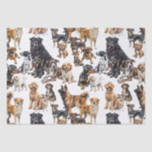 Papier Mousseline Beaucoup de chiens et un chat (Recto)