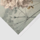 Papier Mousseline Beauté des bonbons des années 1920 et colibri, déc (Détail)