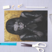 Papier Mousseline Beauté noire et or17 (Artisanat)