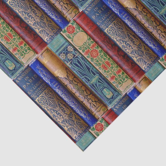 Papier Mousseline Beautiful Book Spines (Paris) Découpage (Détail)