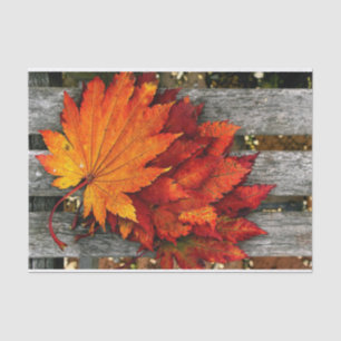 Papier Mousseline Beaux Feuilles rouges d'automne sur la clôture en