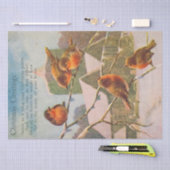 Papier Mousseline Beaux oiseaux sur une succursale voeux de Noël (Artisanat)