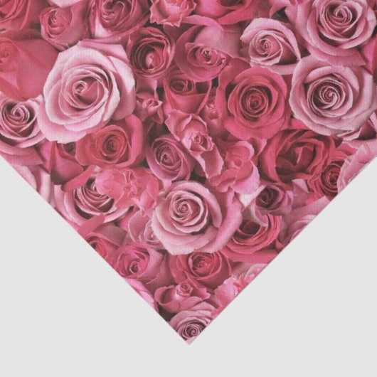 Papier Mousseline Beaux roses roses (Détail)