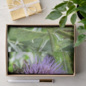 PAPIER MOUSSELINE BEE (Cadeau)