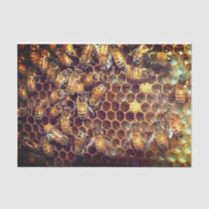 Papier Mousseline Bee Hive