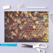 Papier Mousseline Bee Hive (Artisanat)