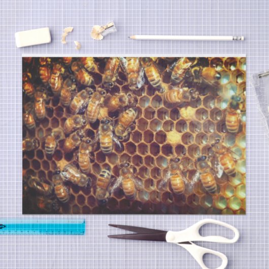 Papier Mousseline Bee Hive (Artisanat)