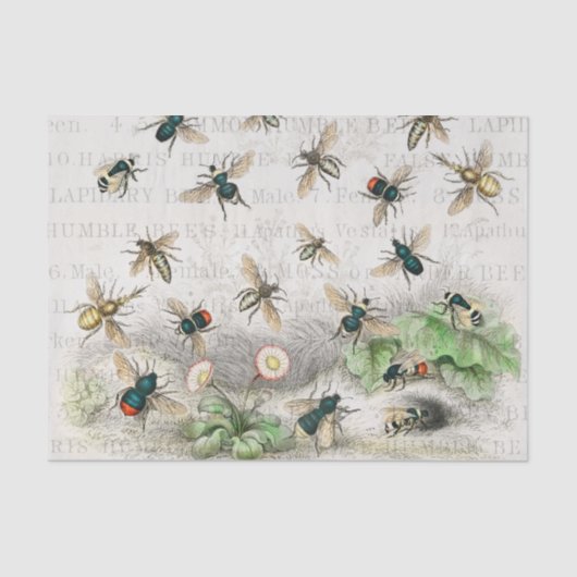 Papier Mousseline Bee Honey Travailleur Queen Bees Antique (Recto)