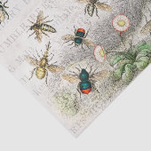 Papier Mousseline Bee Honey Travailleur Queen Bees Antique (Détail)
