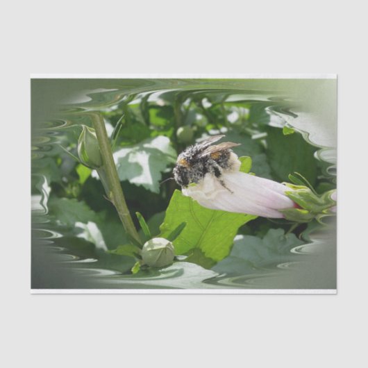 Papier Mousseline Bee in summer (Recto)
