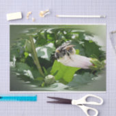 Papier Mousseline Bee in summer (Artisanat)