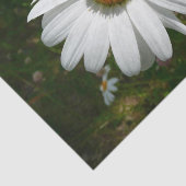 Papier Mousseline Bee on Daisy Alaskan Summer Nature (Détail)