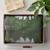 Papier Mousseline Bee on Daisy Alaskan Summer Nature (Cadeau)