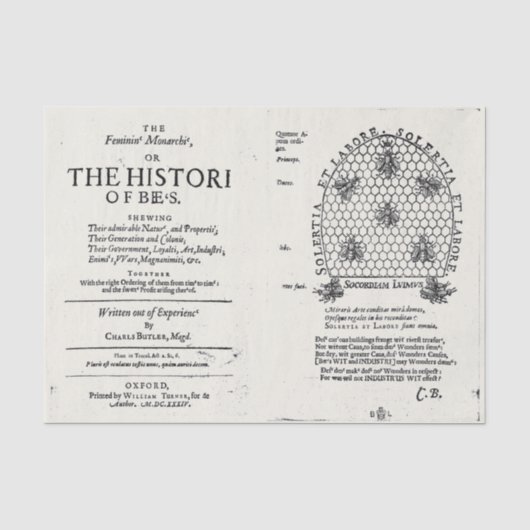 Papier Mousseline Beekeeper Queen Bee 1609 Publication (Recto)