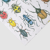 Papier Mousseline Beetles (Détail)