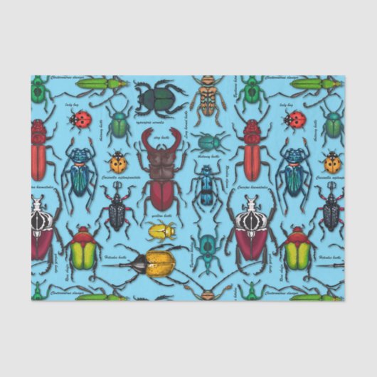 Papier Mousseline Beetons sur bleu (Recto)