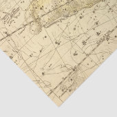 Papier Mousseline Bélier, Musca Borealis (Détail)