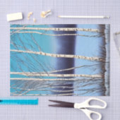 Papier Mousseline Belle bouleau d'hiver (Artisanat)