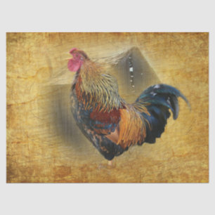 Papier Mousseline Belle coop de poulet rôti et de grange rustique