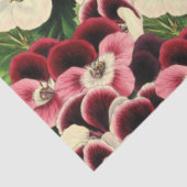 Papier Mousseline Belle Crème Bourgogne Rose Geranium Botanique (Détail)