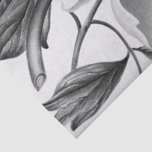 Papier Mousseline Belle fleur de dahlia (Détail)