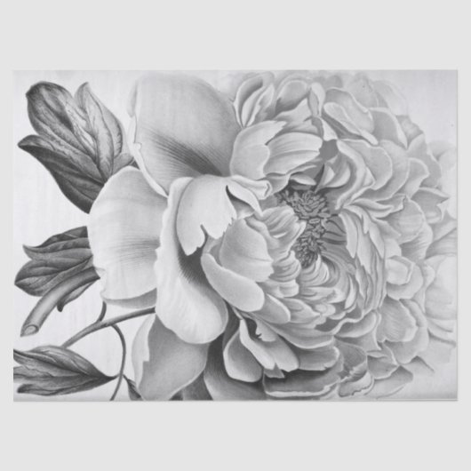 Papier Mousseline Belle fleur de dahlia (Recto)