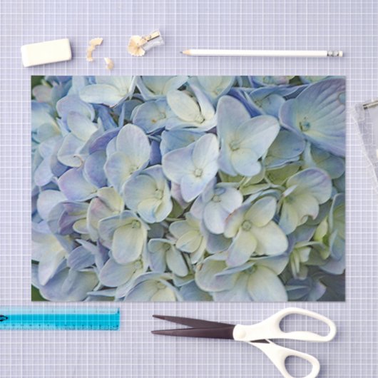 Papier Mousseline Belle Hydrangée Bleue Fleurs Photo (Artisanat)