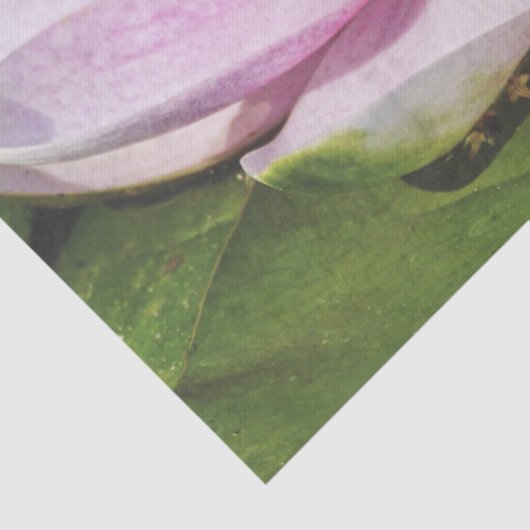 Papier Mousseline Belle Lys D'Eau Rose Douce (Détail)