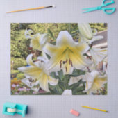 Papier Mousseline Belle Lys d'Été (Artisanat)