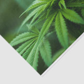 Papier Mousseline Belle mauvaise herbe (Détail)