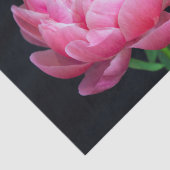 Papier Mousseline Belle pivoine rose (Détail)